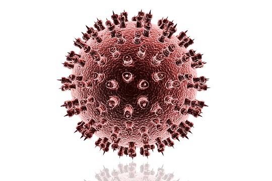 virus del herpes